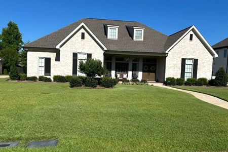 The Connection Between Lawn Health and Weed Growth