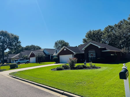 How Rain and Humidity Affect Your Lawn in South Alabama