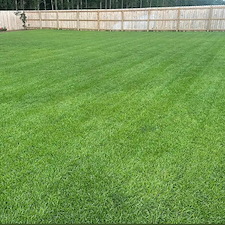 A-beautiful-lawn-transformation-in-Charleston-Mills-Subdivision-in-Dothan-Alabama 0