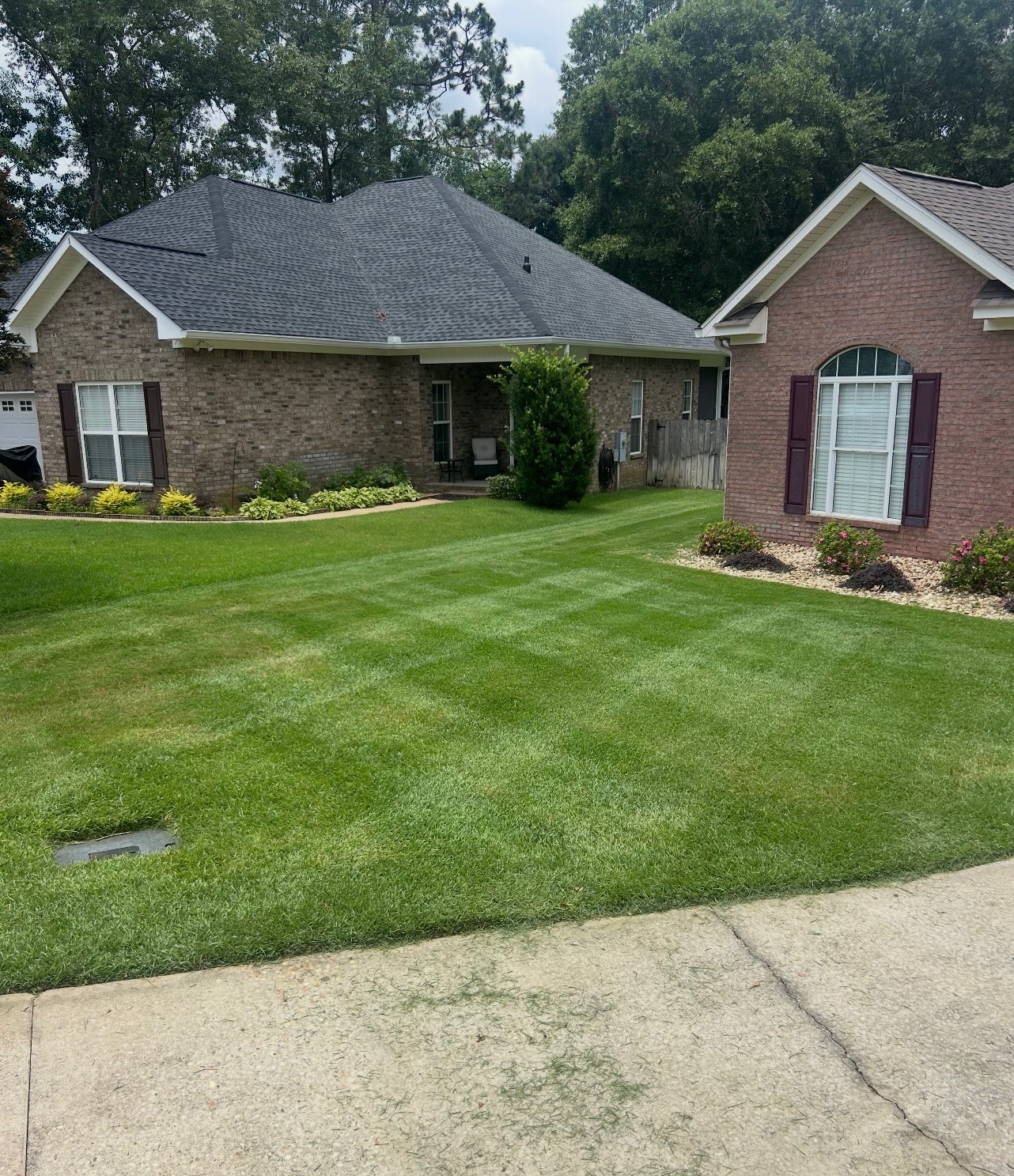 A lawn made beautiful! Thumbnail