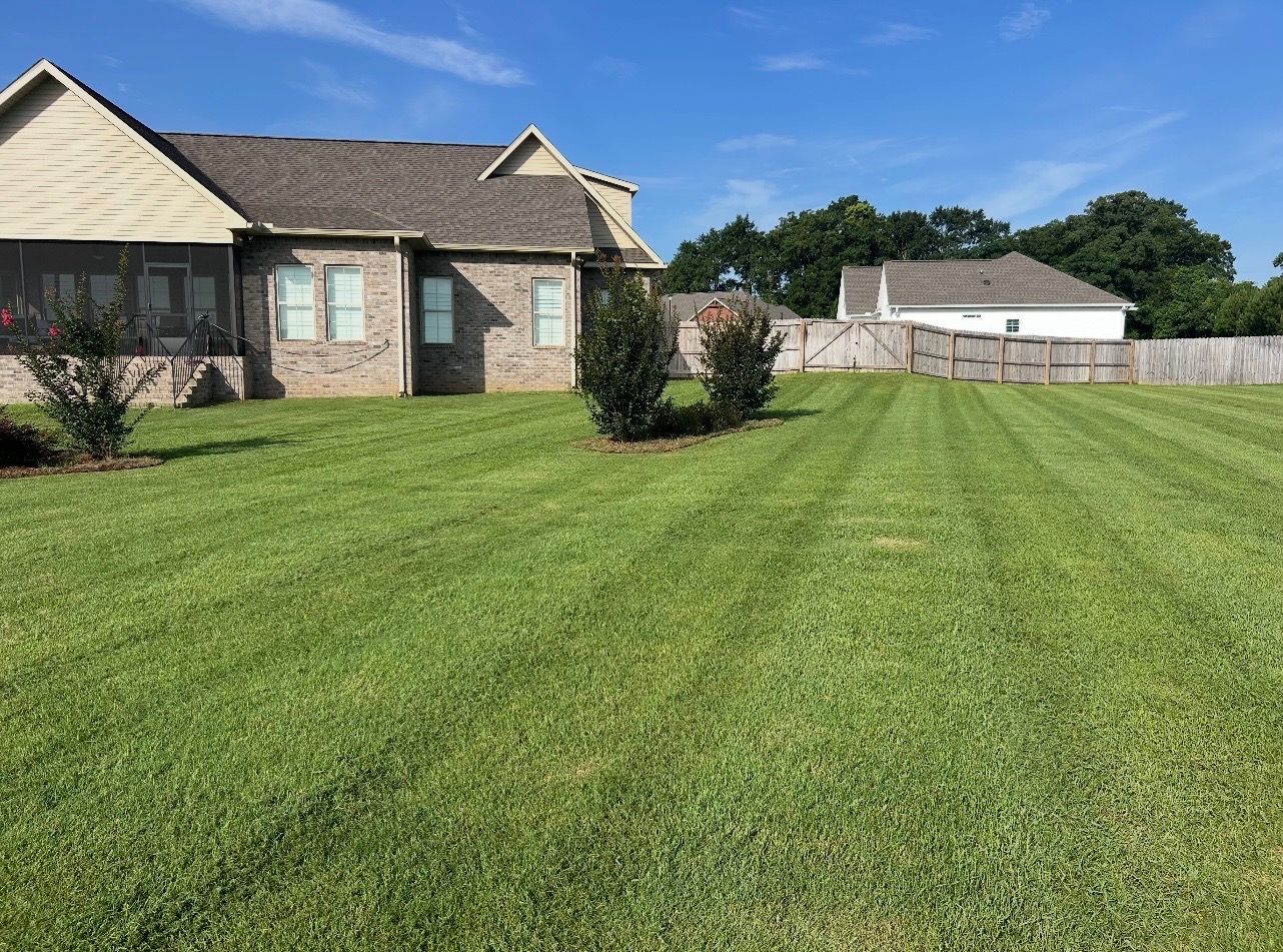 Another Transformed Lawn with our Weed Control and Fertilization program! Thumbnail