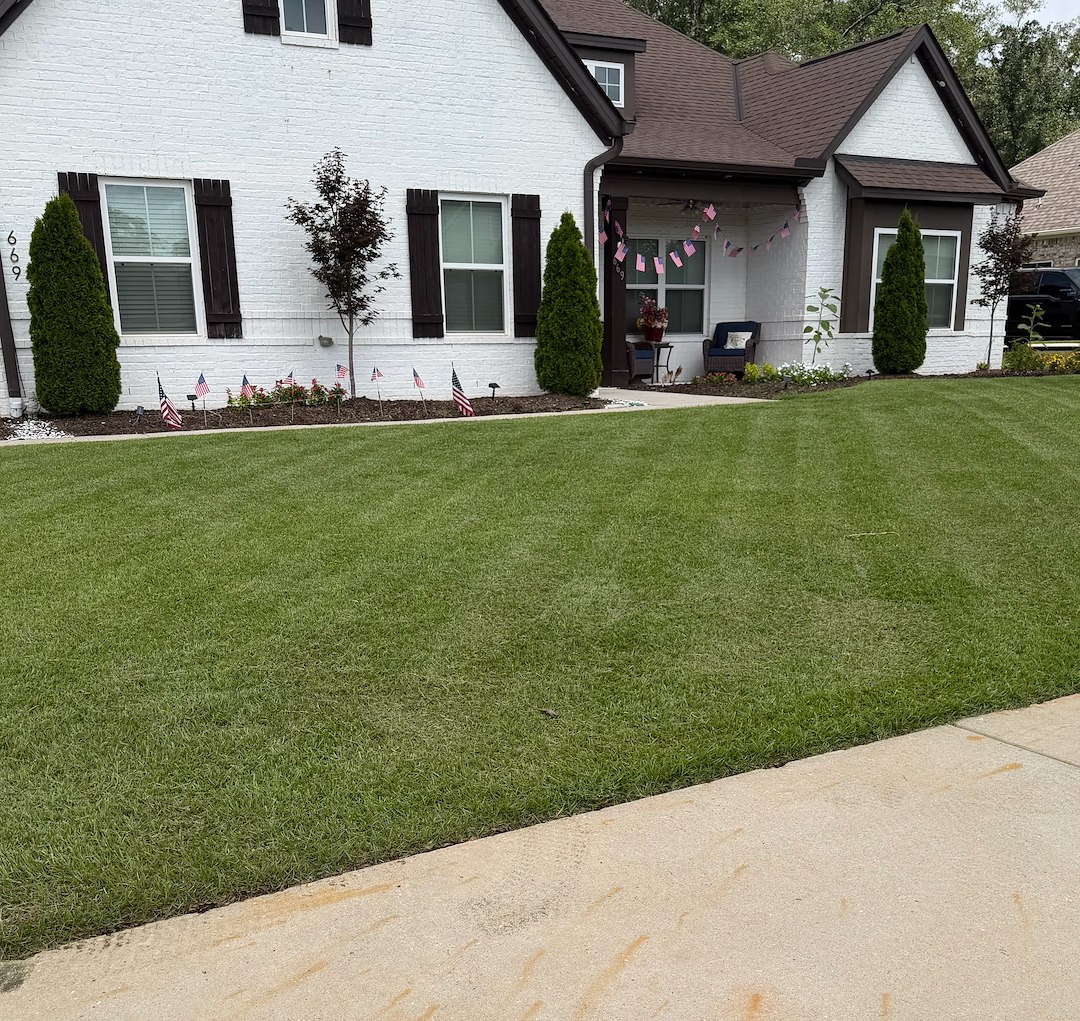 Lawn Transformation with our Weed Control and Fertilization Program Thumbnail