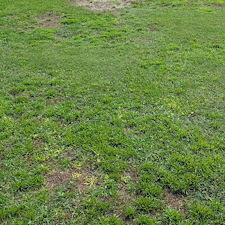 Total-lawn-transformation-in-Enterprise-AL 0